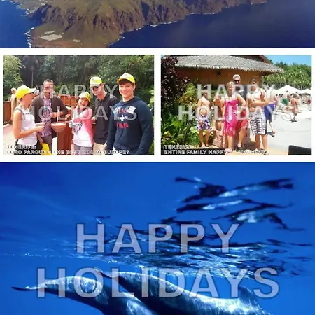 Апартаменты Mng-apart Paradise Court