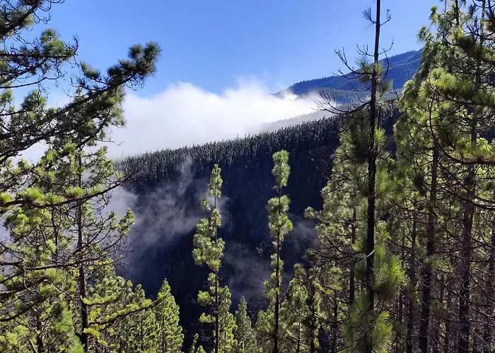 Mng-apart Paradise Court *